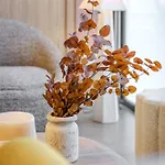 Ola Living Poblenou Appartamento *